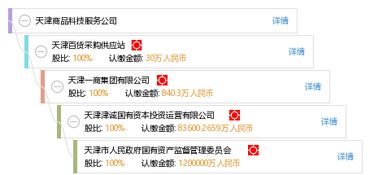 天津商品科技服務(wù)公司的軟件開發(fā)實(shí)踐與創(chuàng)新探索